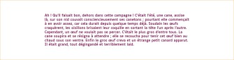 Exemple de contenu en un seul paragraphe